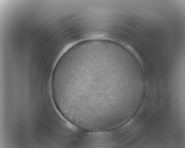 X0000066931432200604071835