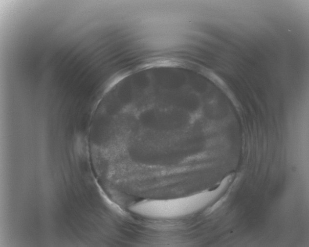 X0000066931433200604071835