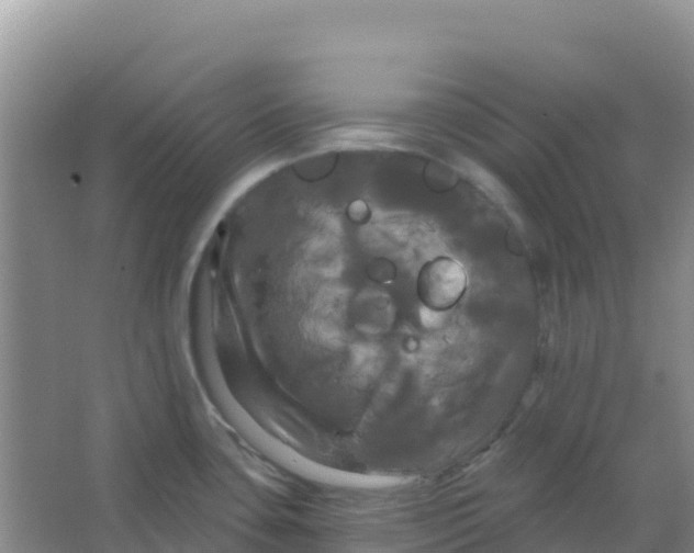 X0000066931435200604071835