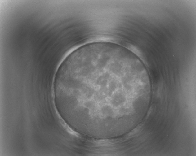 X0000066931436200604071835