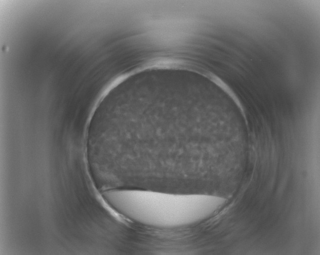 X0000066931437200604071835