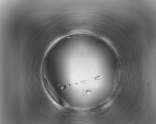 X0000066931438200604071835