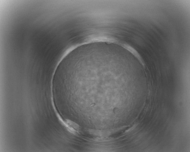 X0000066931439200604071835