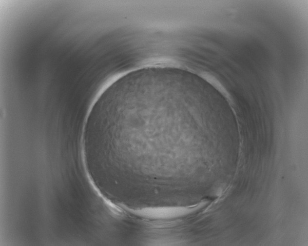 X0000066931440200604071835