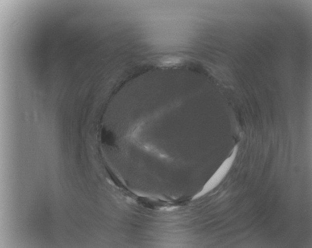 X0000066931441200604071834