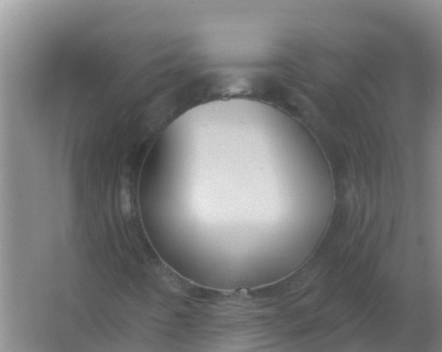 X0000066931442200604071834