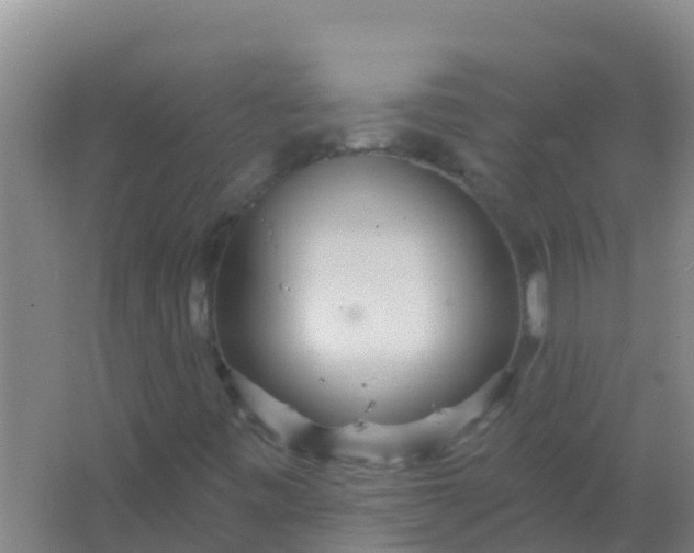 X0000066931443200604071834