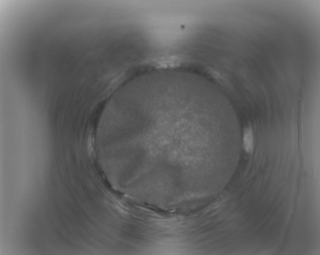 X0000066931444200604071834