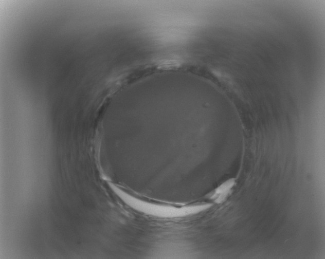 X0000066931445200604071834