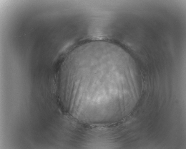 X0000066931446200604071834