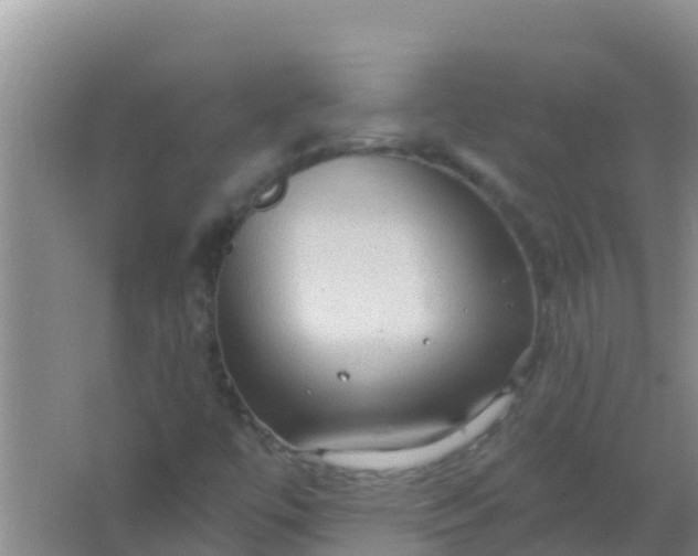 X0000066931447200604071834