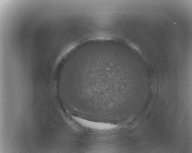 X0000066931448200604071834