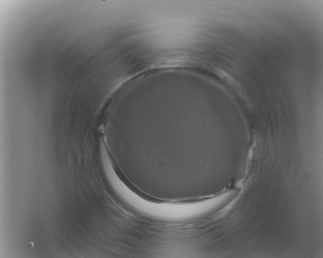 X0000066931449200604071834