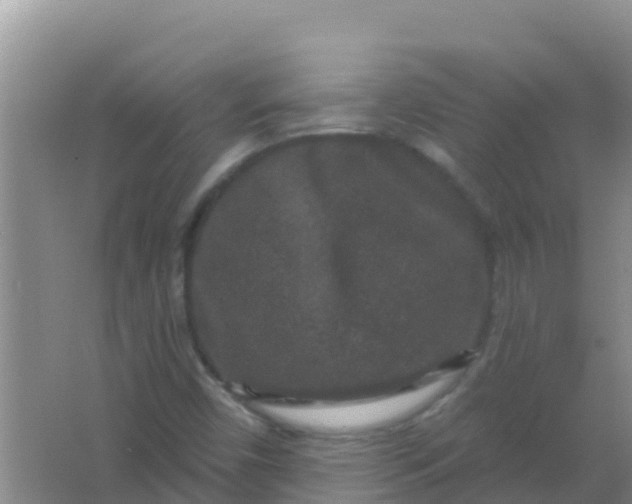 X0000066931450200604071834