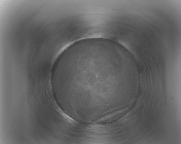 X0000066931452200604071834