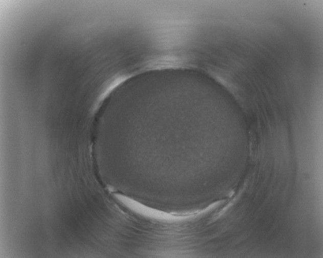 X0000066931453200604071834