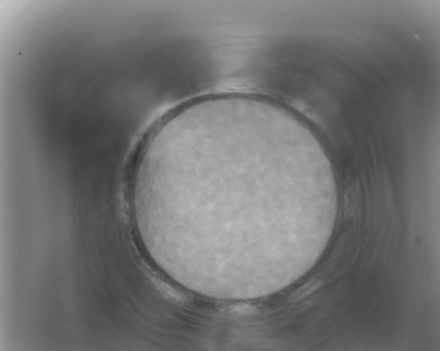 X0000066931454200604071834