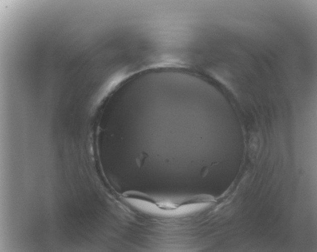 X0000066931455200604071834