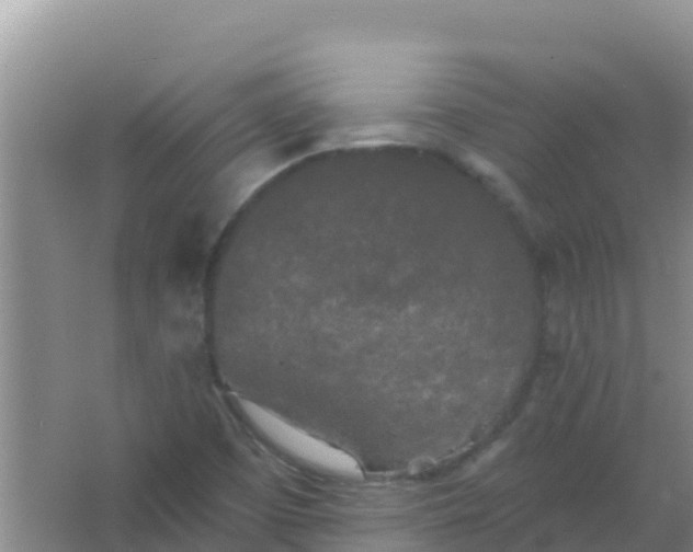 X0000066931457200604071834