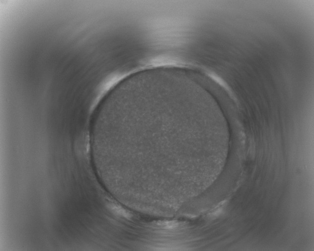 X0000066931461200604071834