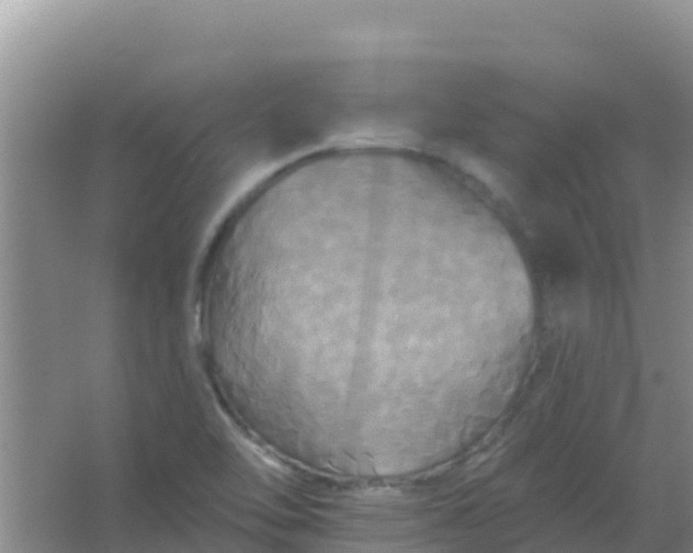 X0000066931462200604071834