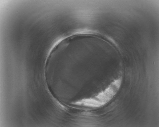 X0000066931463200604071834