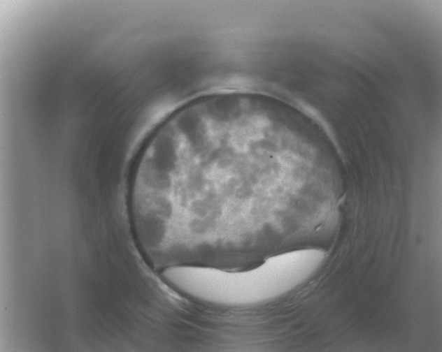 X0000066931464200604071834