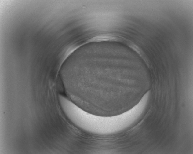 X0000066931465200604071834