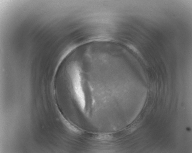 X0000066931466200604071834