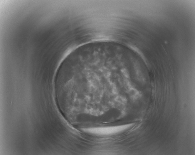 X0000066931467200604071834