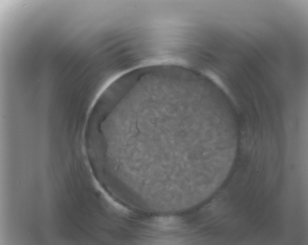 X0000066931468200604071834