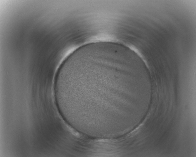 X0000066931469200604071833