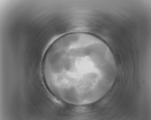 X0000066931470200604071833