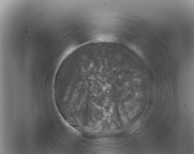 X0000066931471200604071833