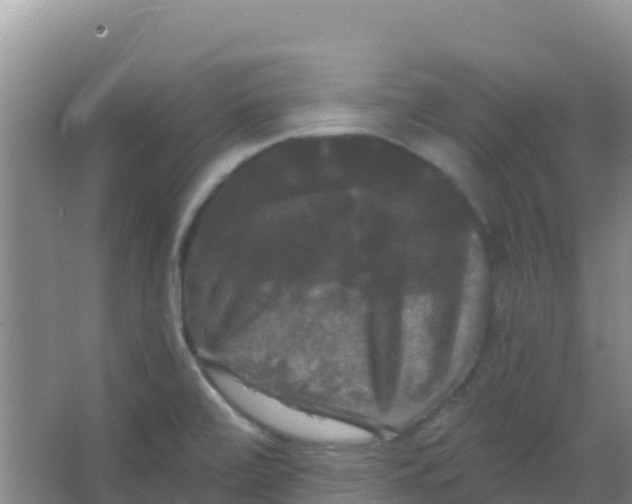 X0000066931472200604071833