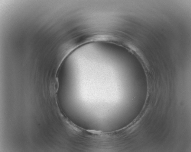 X0000066931473200604071833