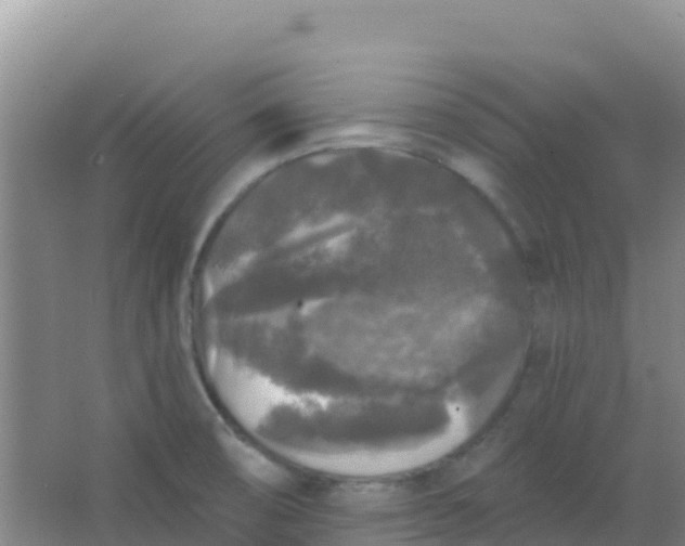 X0000066931474200604071833