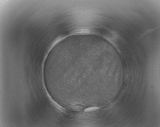 X0000066931475200604071833