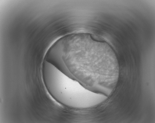 X0000066931476200604071833