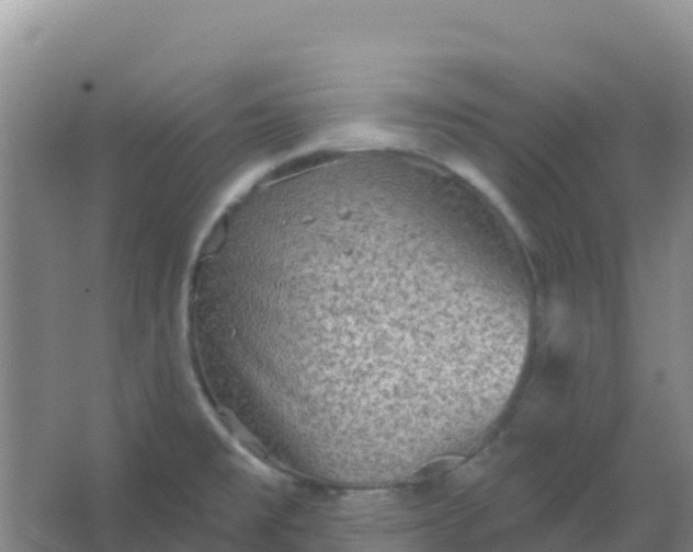 X0000066931477200604071833