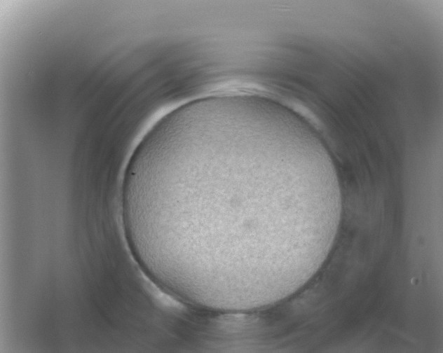 X0000066931478200604071833