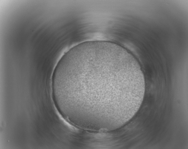 X0000066931479200604071833