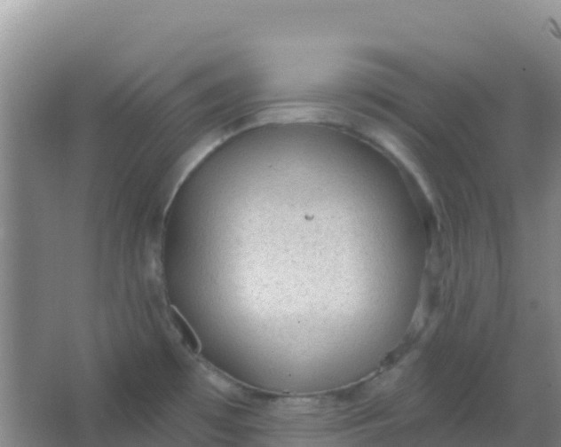 X0000066931481200604071833