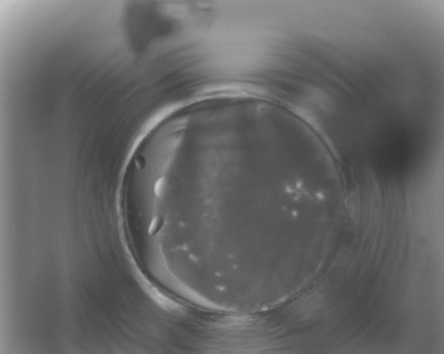 X0000066931482200604071833