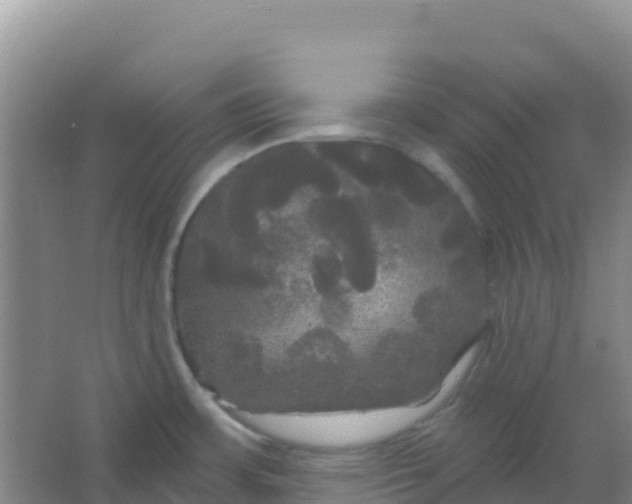 X0000066931483200604071833