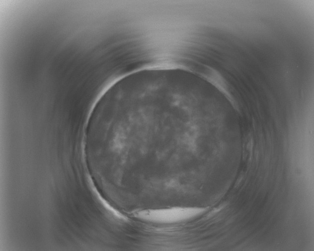 X0000066931484200604071833