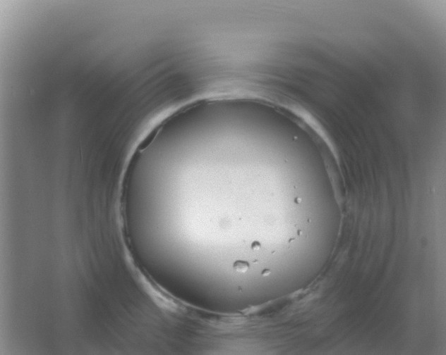 X0000066931485200604071833