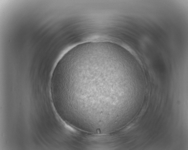 X0000066931486200604071833