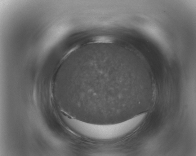 X0000066931487200604071833