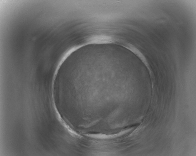 X0000066931488200604071833